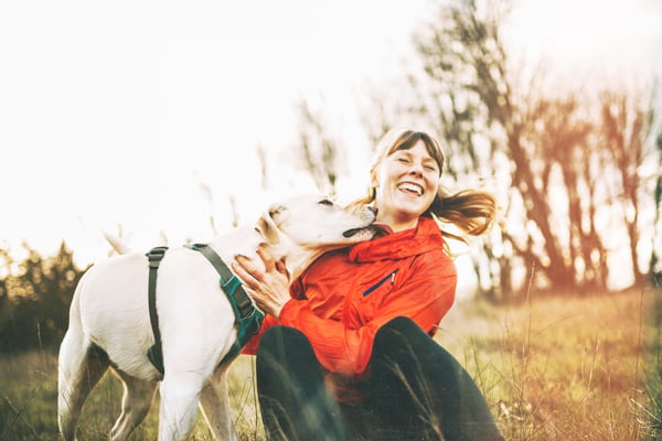 Coffee with Findity: Sustainability in everything we do – BDO